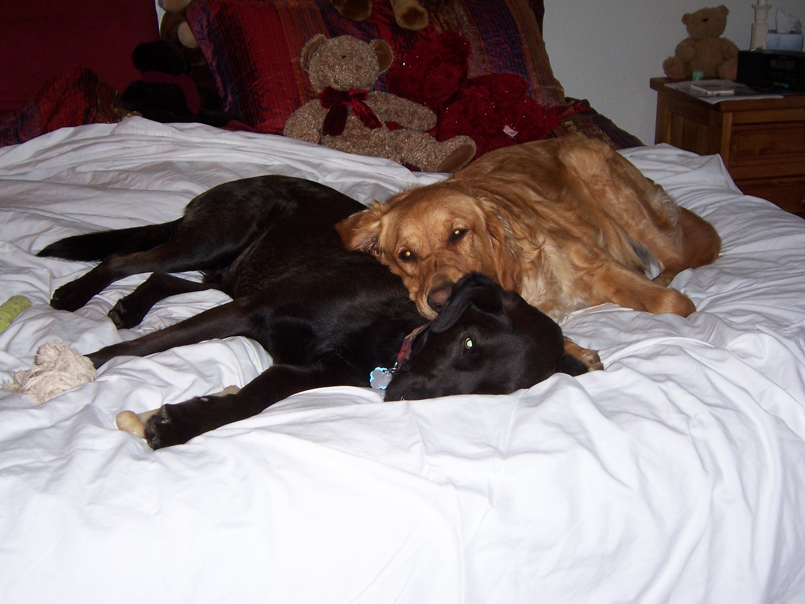 Bed Boys 2